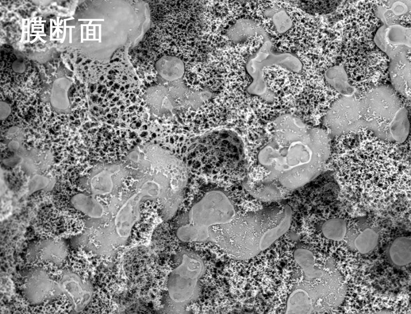 PT游戏烧结管式膜电镜照片 PT游戏烧结管式膜电镜照片